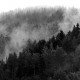 bieszczady